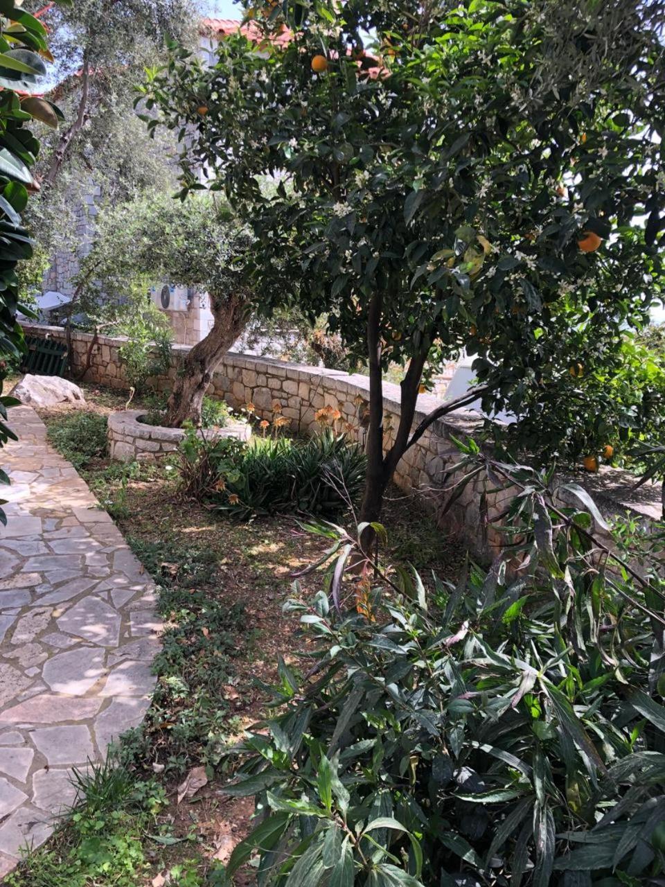 Villa Amanda Neokhorion  Exterior foto